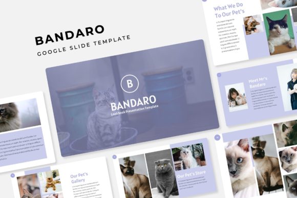 Unleash Your Creativity with Bandaro Google Slide Template